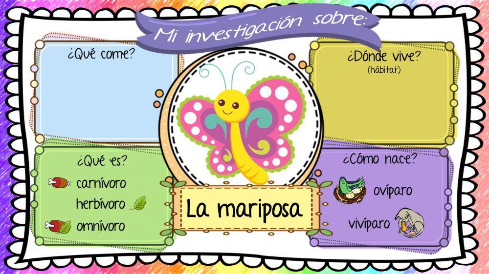Investigación sobre la mariposa