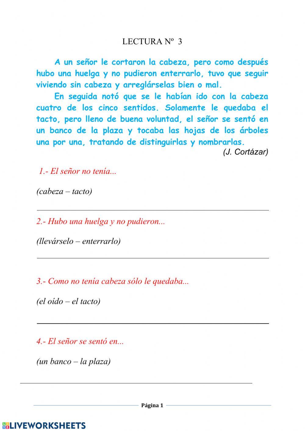 Comprensión escrita 2