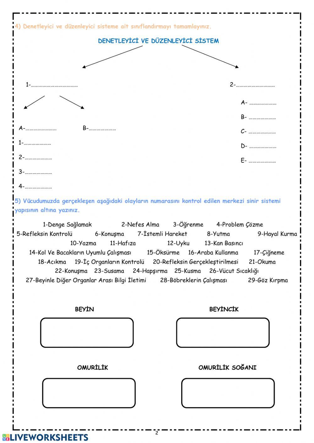 Denetleyici Düzenleyici Sistem