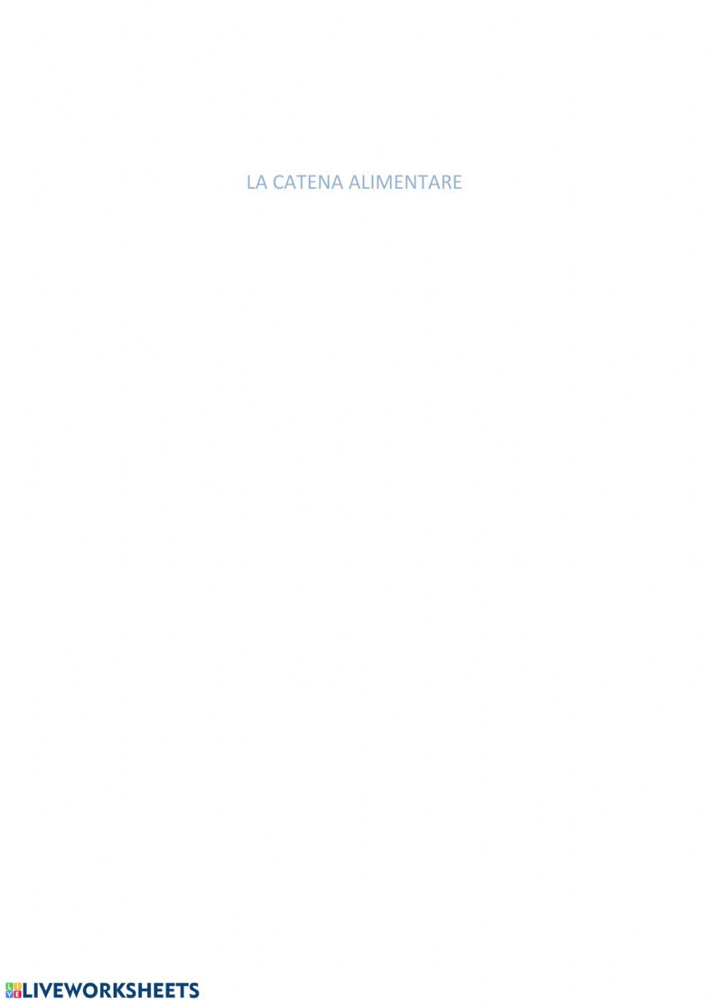 La catena alimentare La catena alimentare