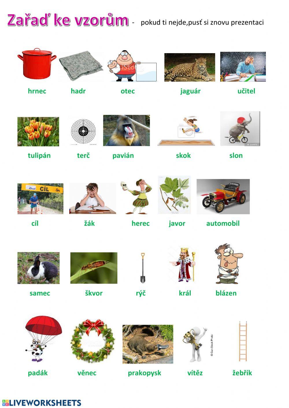 Vzory rodu mužského