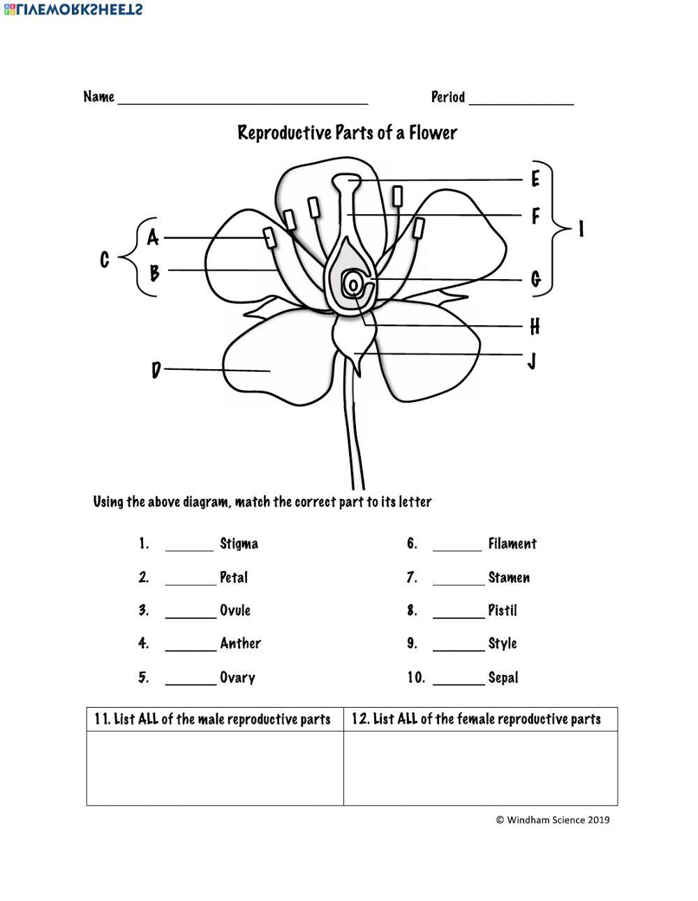 reproductive-parts-of-a-flower-online-exercise-for-live-worksheets