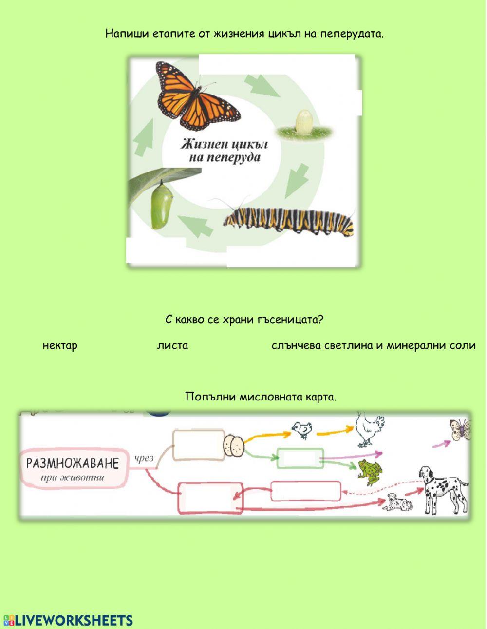 73067 | Размножаване при животните | Илияна Василева