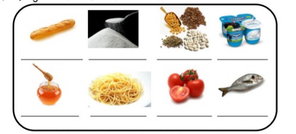 ELIKAGAIAK ETA MANTENUGAIAK