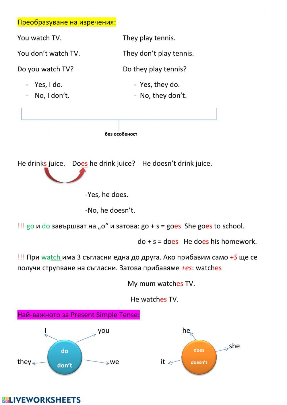 Present Simple Tense