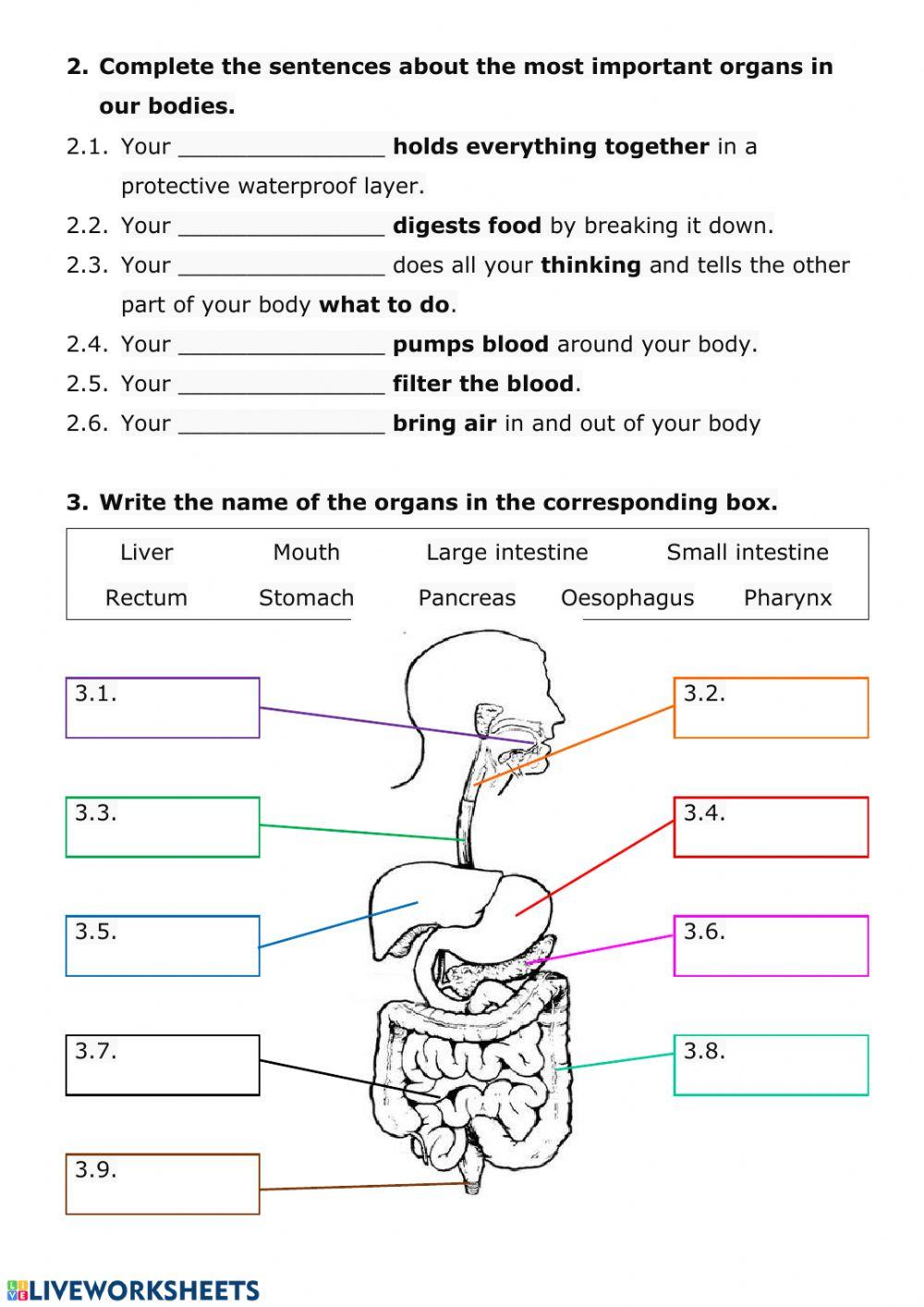 73387 NUTRITION Review 1 1 tercerocossio