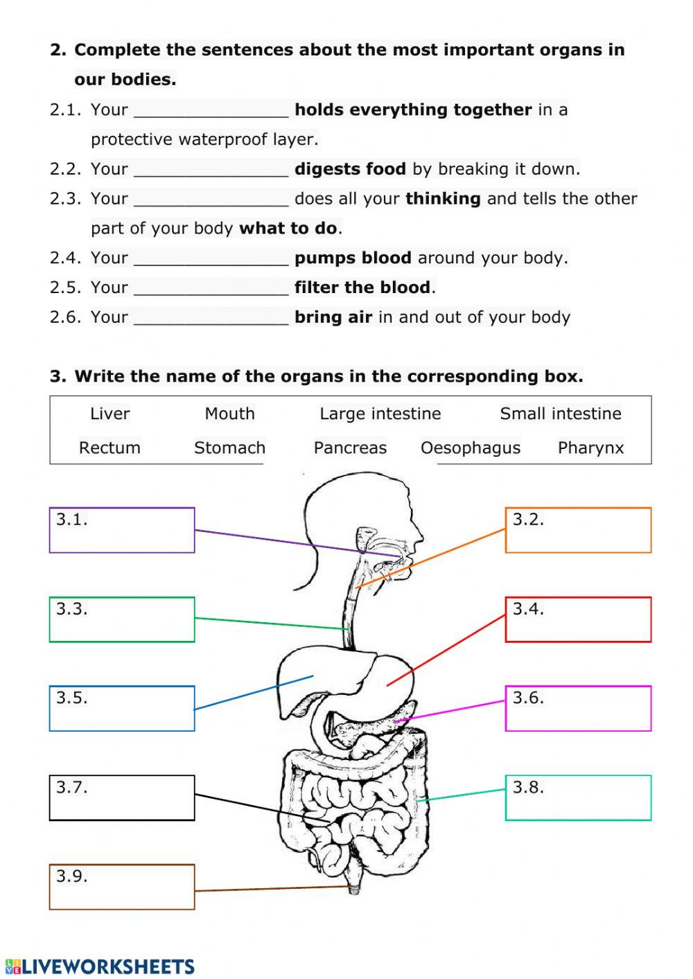 NUTRITION - Review 1.1