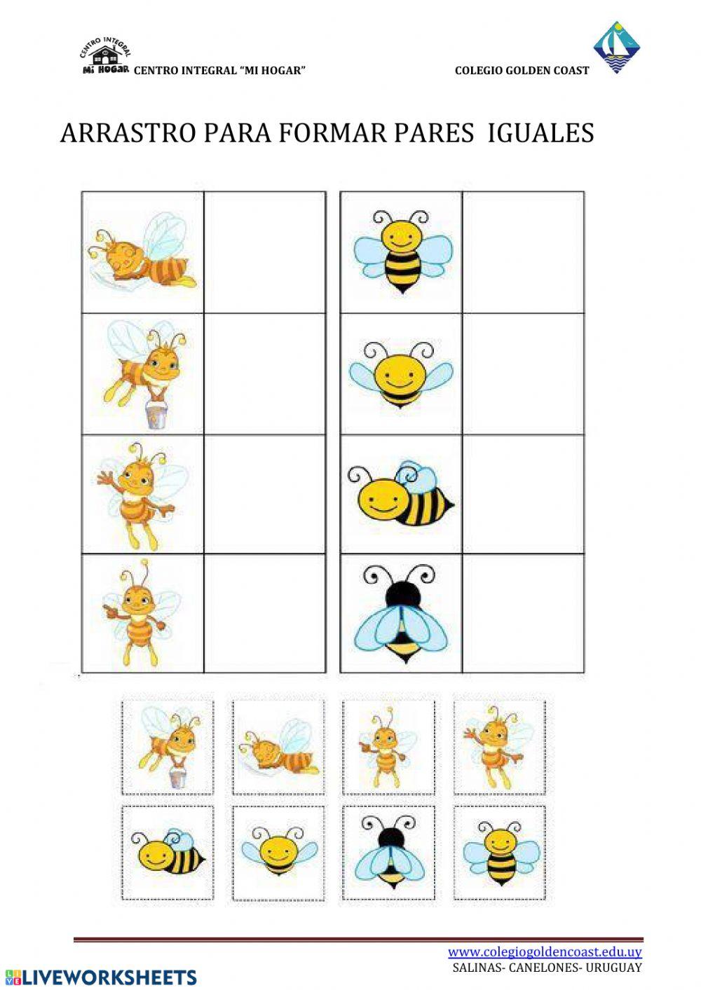 ARRASTRO PARA FORMAR PARES IGUALES