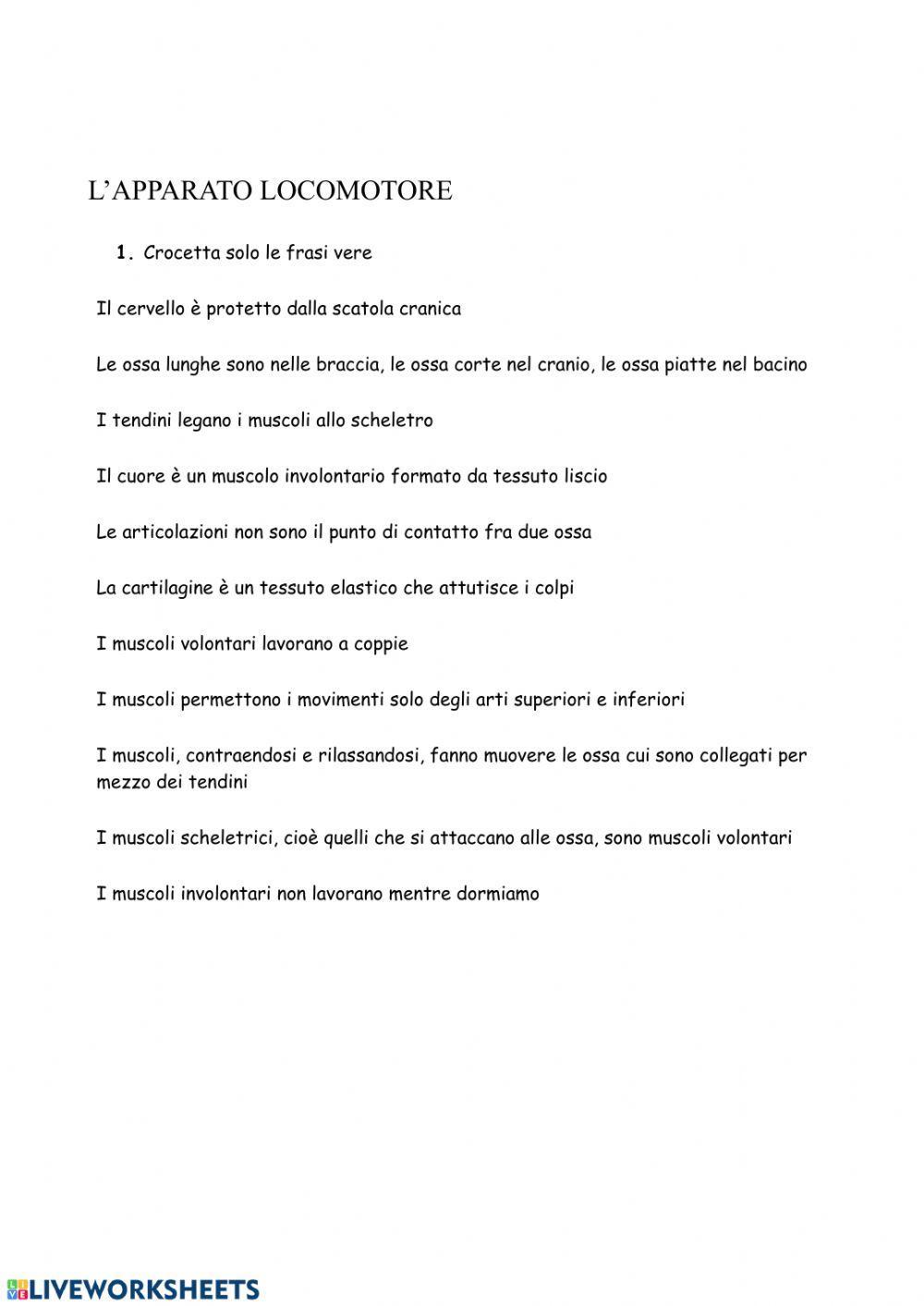 Verifica  apparato locomotore