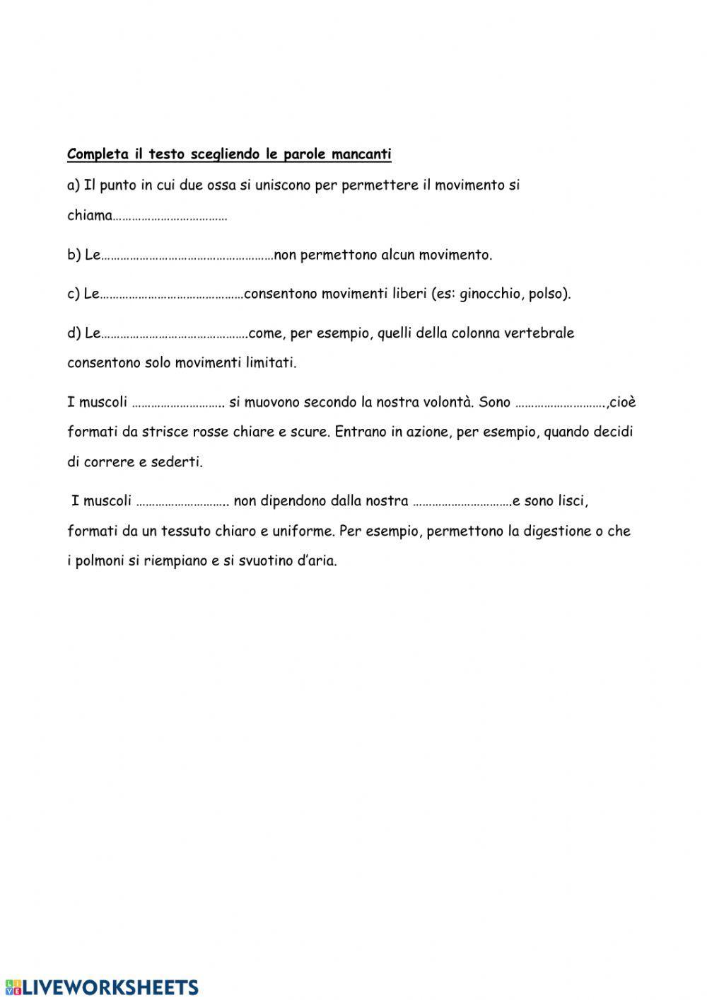 Verifica  apparato locomotore