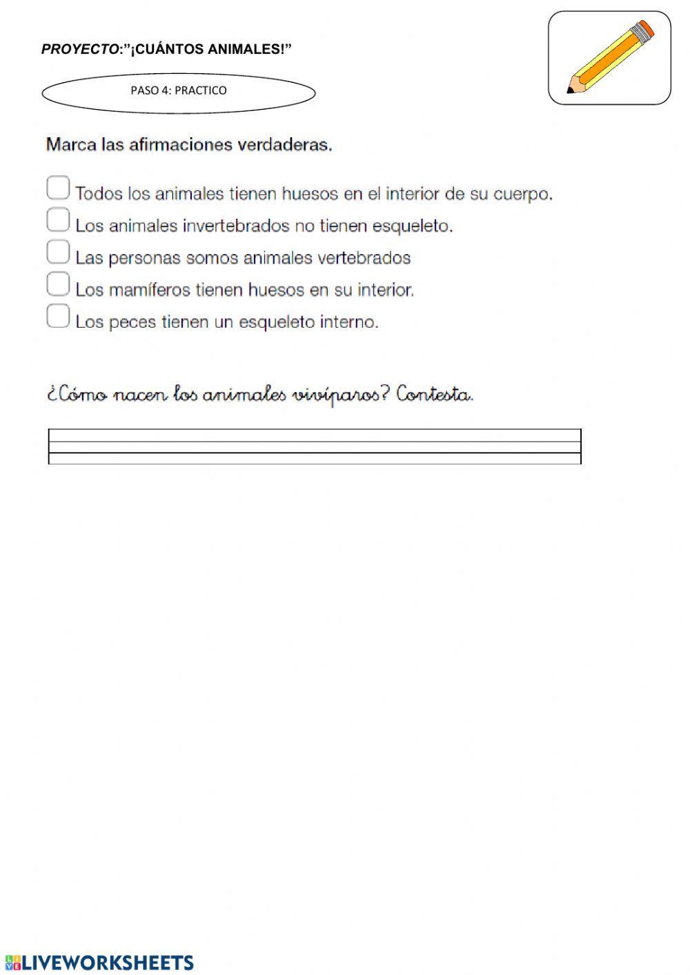 Practico: animales vertebrados e invertebrados