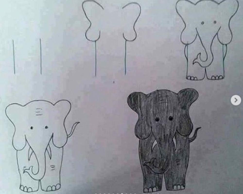 Cómo dibujar un elefante
