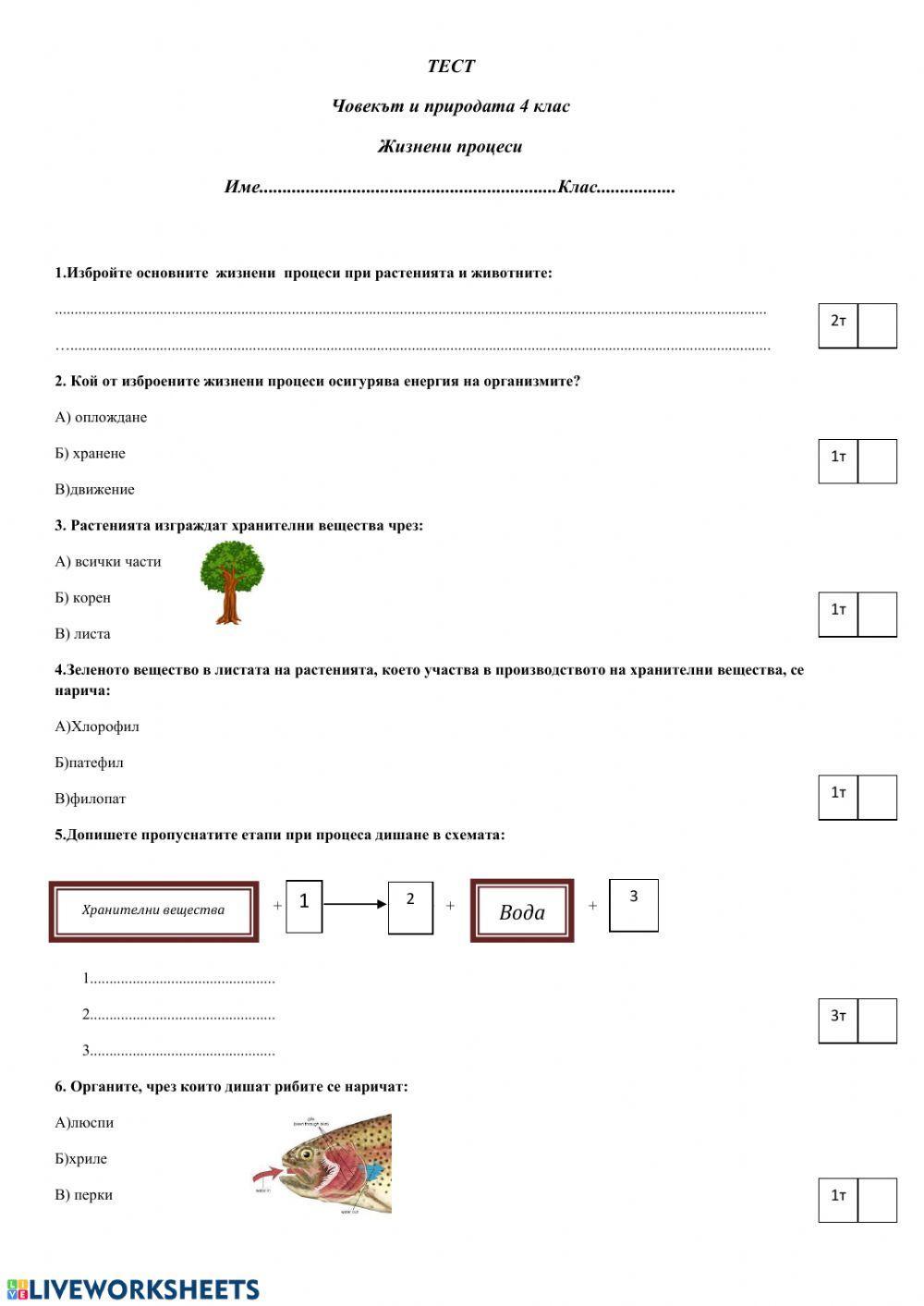 Жизнени процеси 4 клас- тест