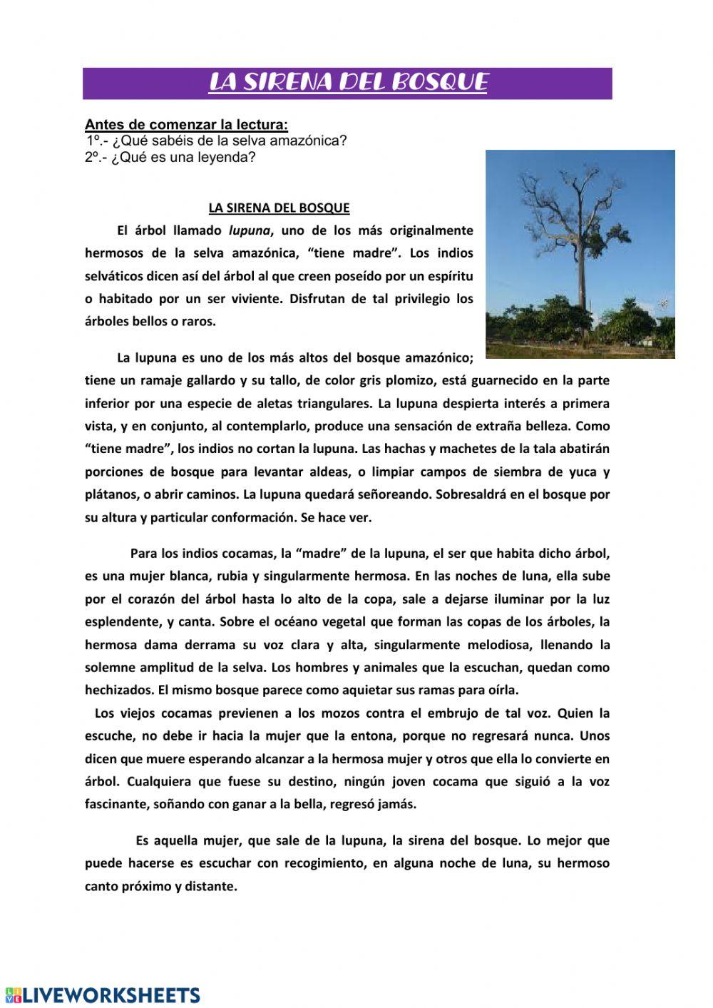 Comprensión lectora