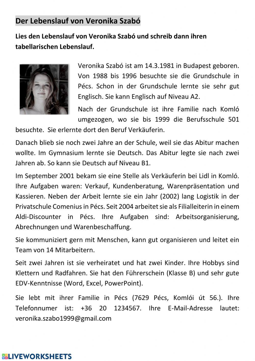 Lebenslauf verstehen