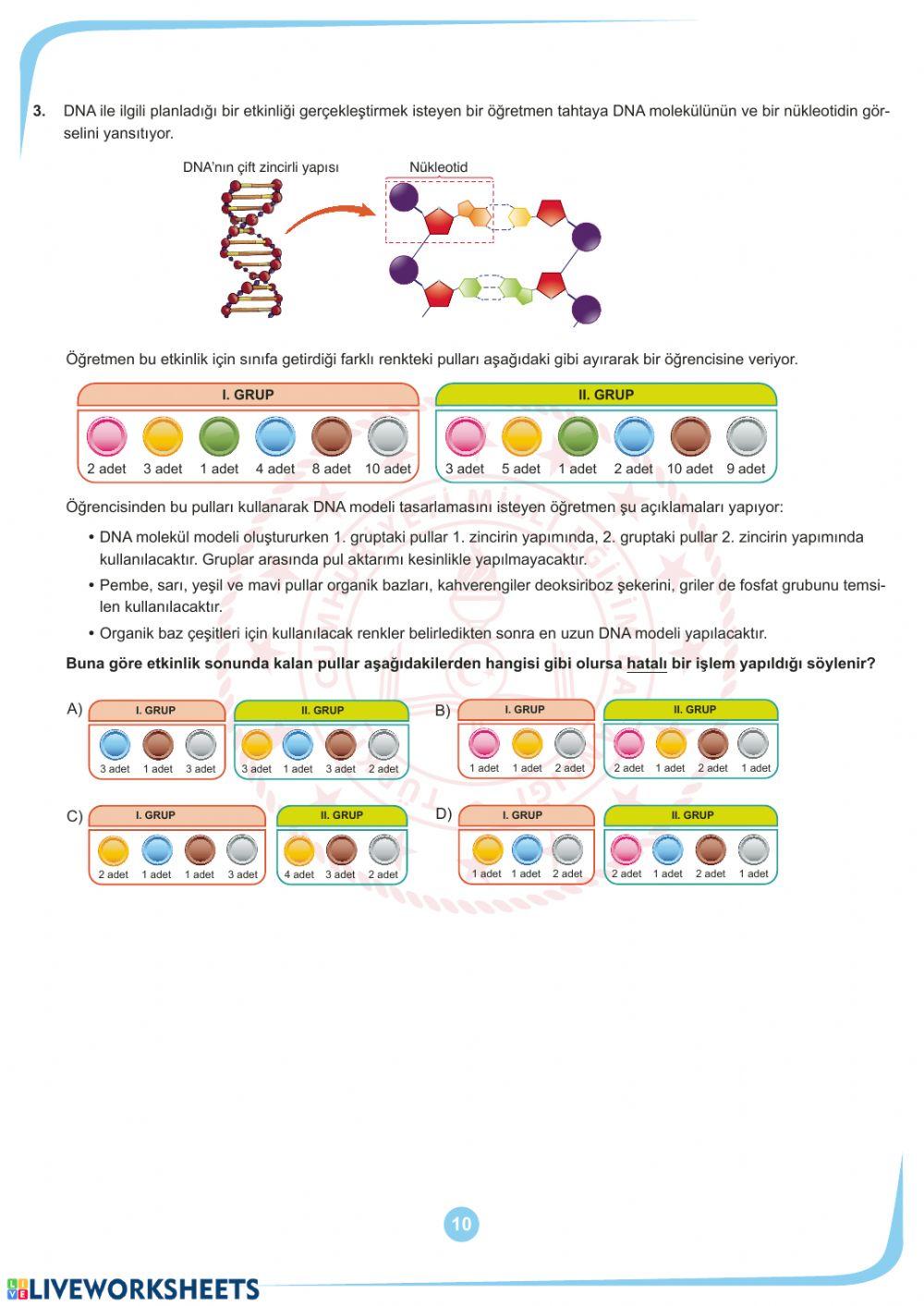 Mart ayi örnek sorular fen bi̇li̇mleri̇