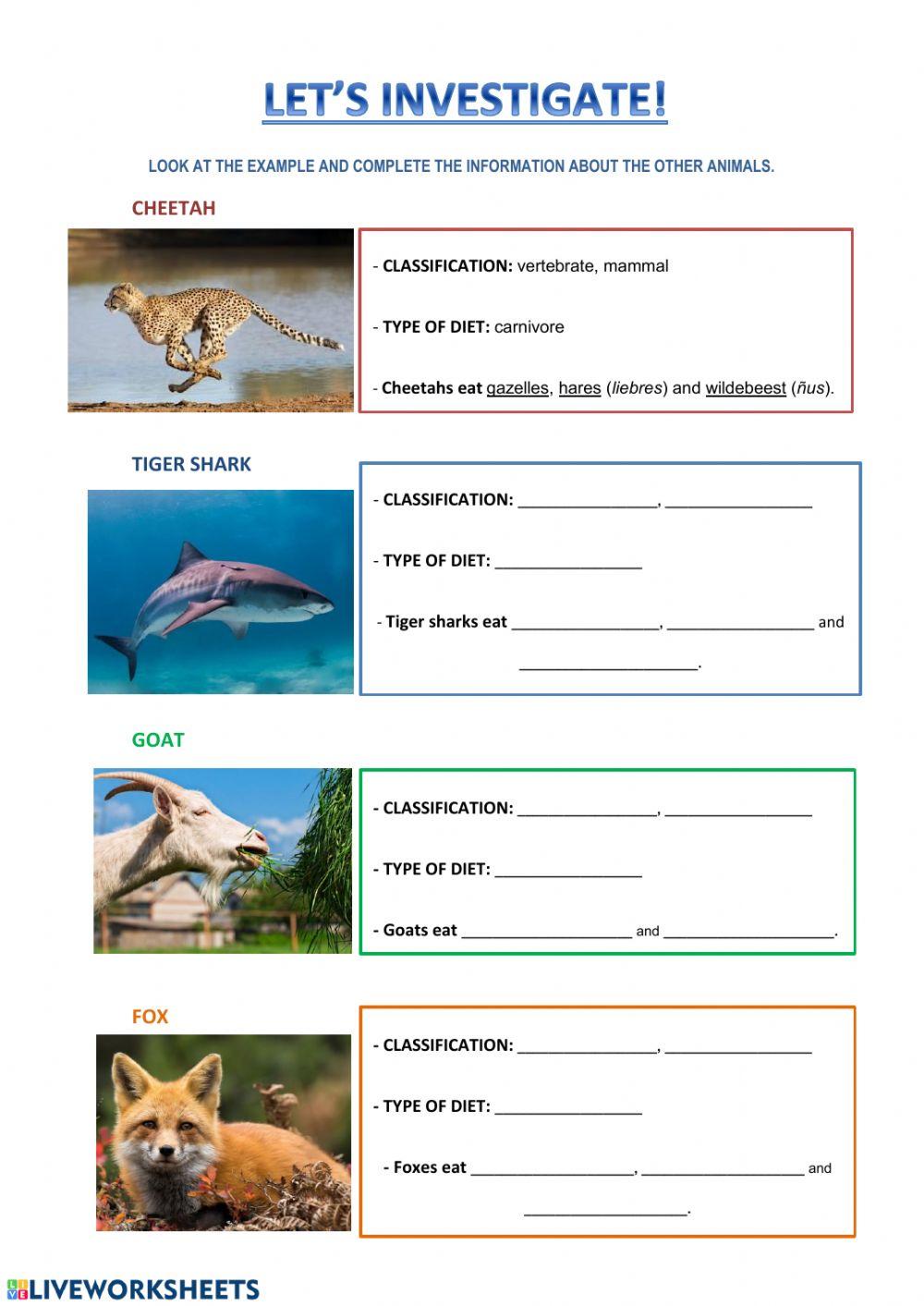 Animals index cards