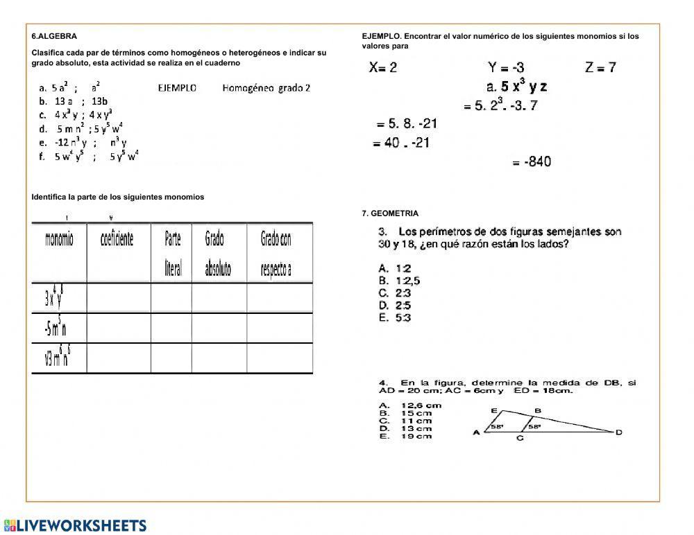 TALLER FINAL DE 1er PERIODO
