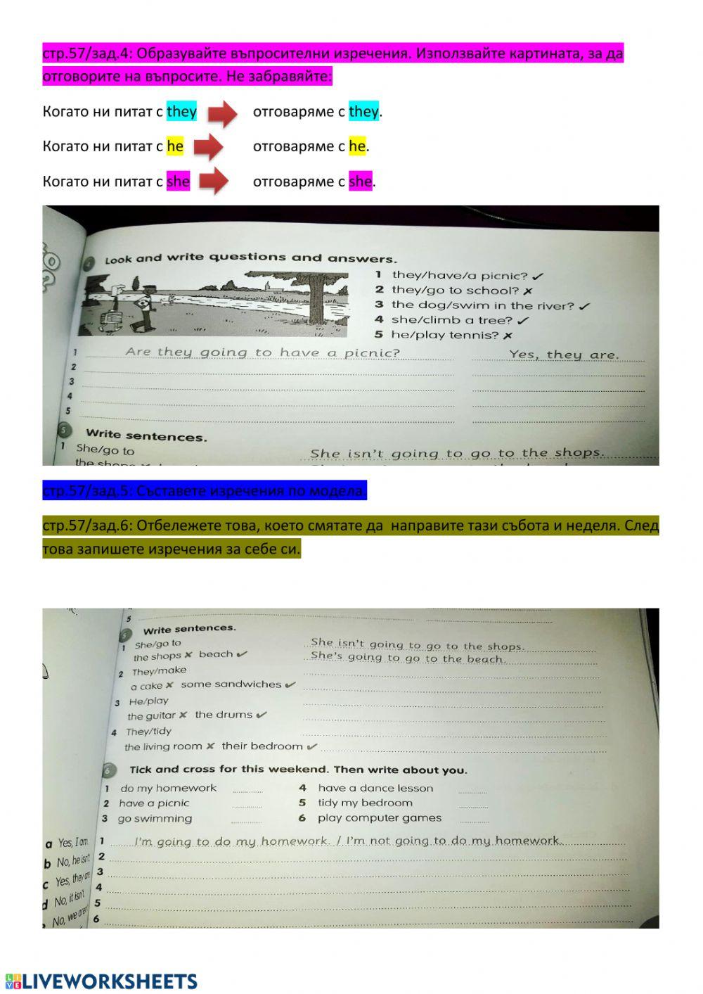 The dog is going to...