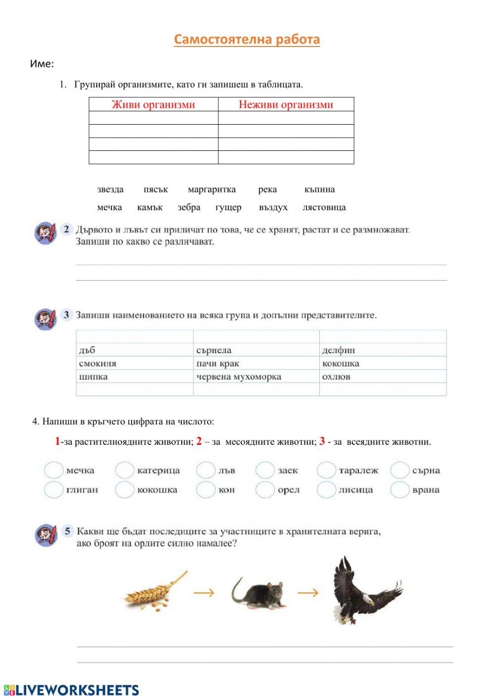 Самостоятелна работа