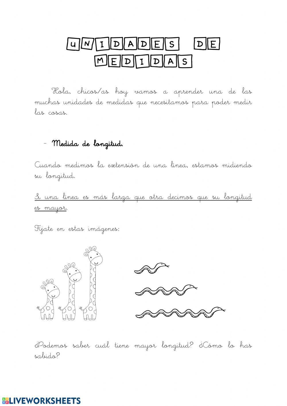 Ficha explicativa - longitud