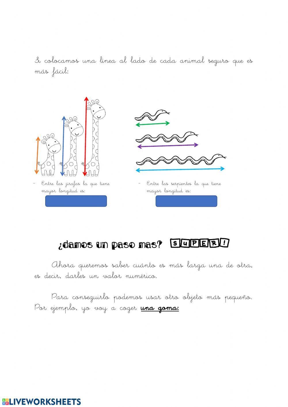 Ficha explicativa - longitud