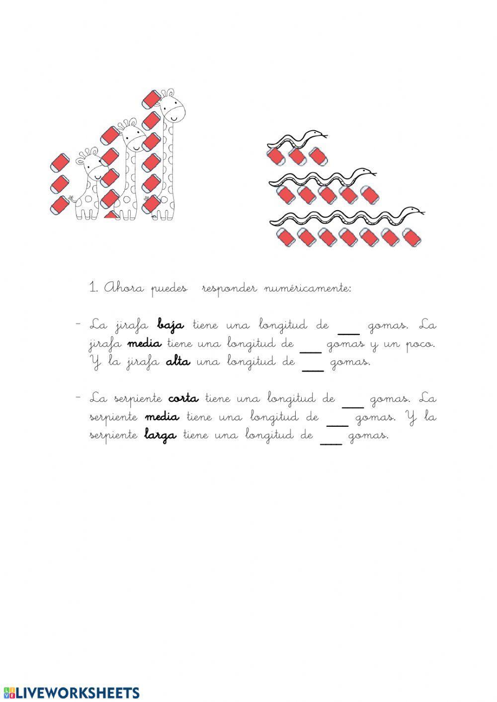 Ficha explicativa - longitud