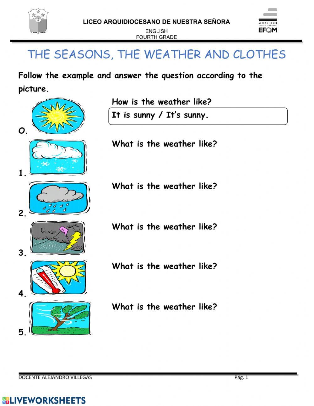 What is the weather like?