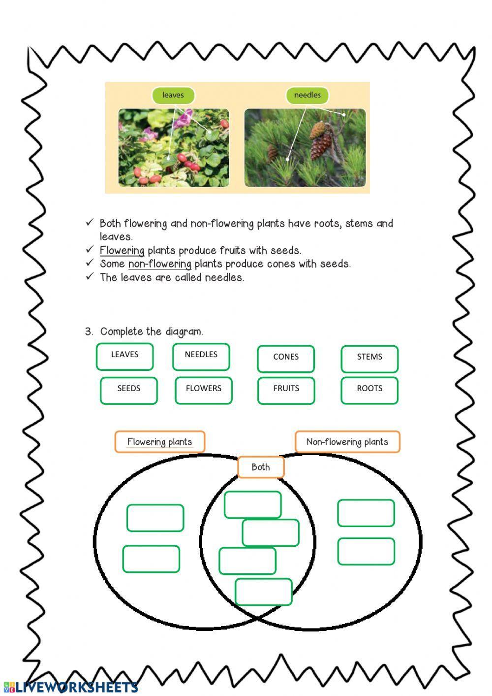 Flowering, non-flowering