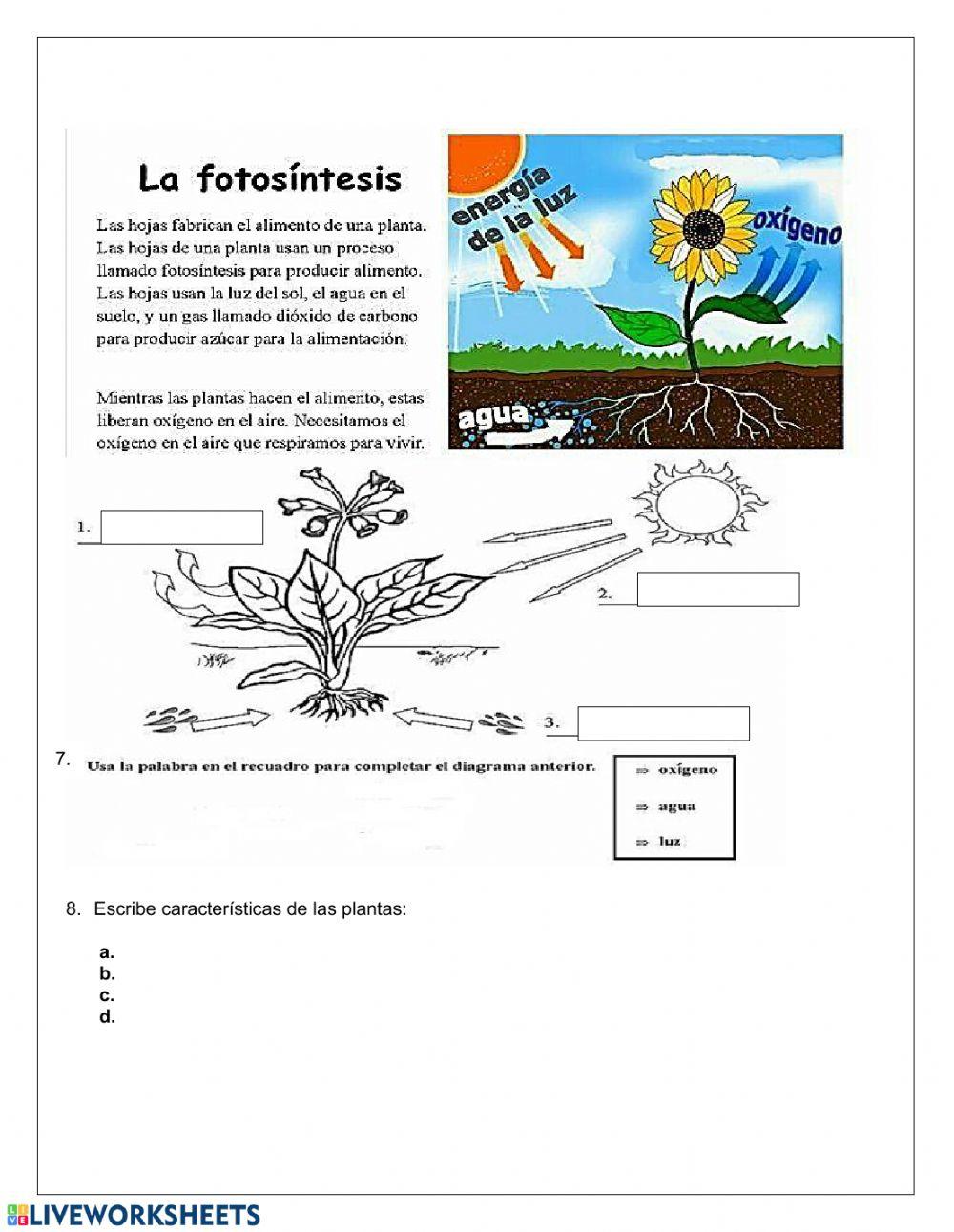 Taller evaluativo C. Naturales