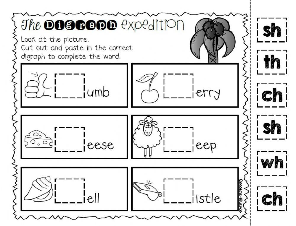 The Digraph Expedition