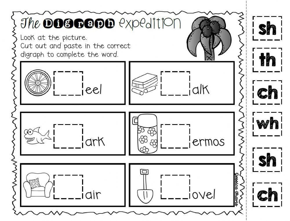 The Digraph Expedition 2
