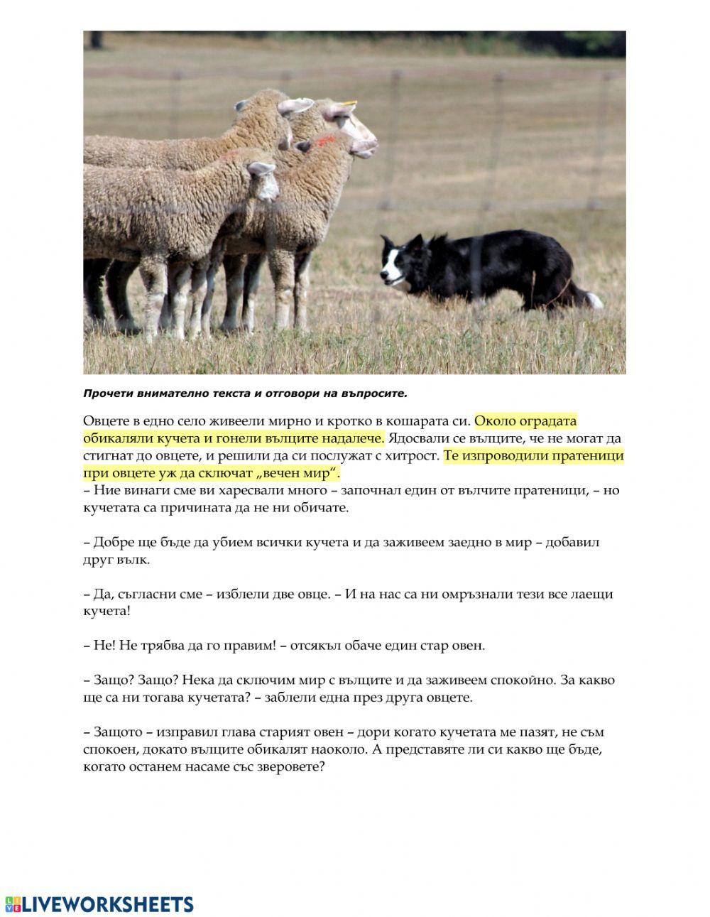 четене с разбиране - овцете