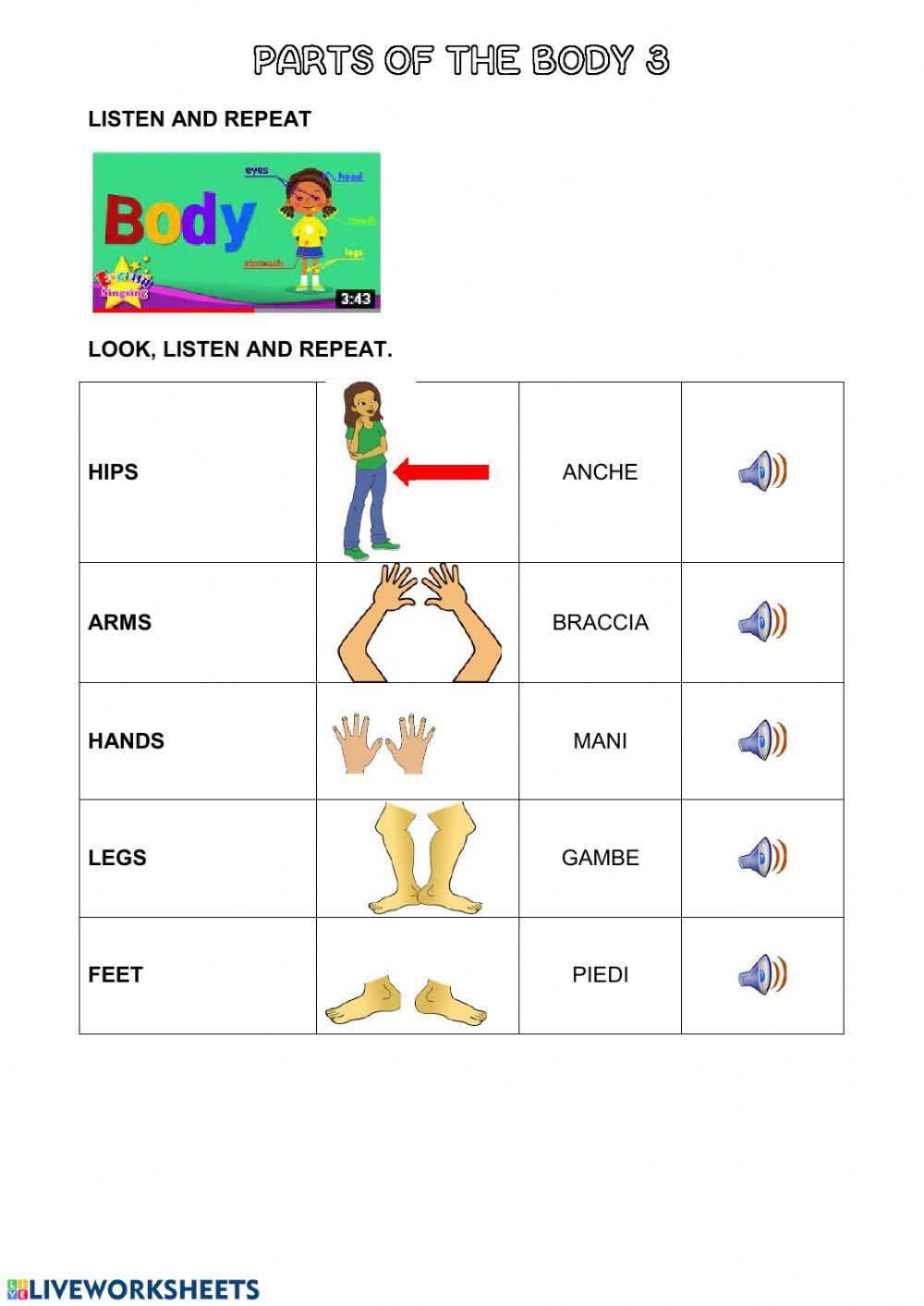 Parts of the body 3
