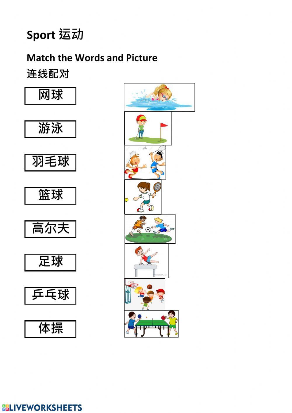 Sport Match Worksheet Sport Match Worksheet