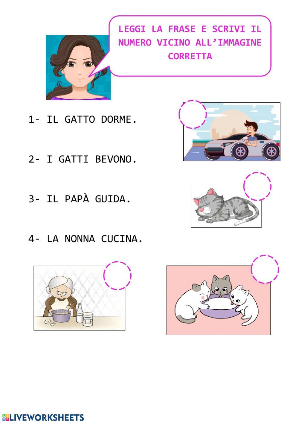 Lettura di semplici frasi