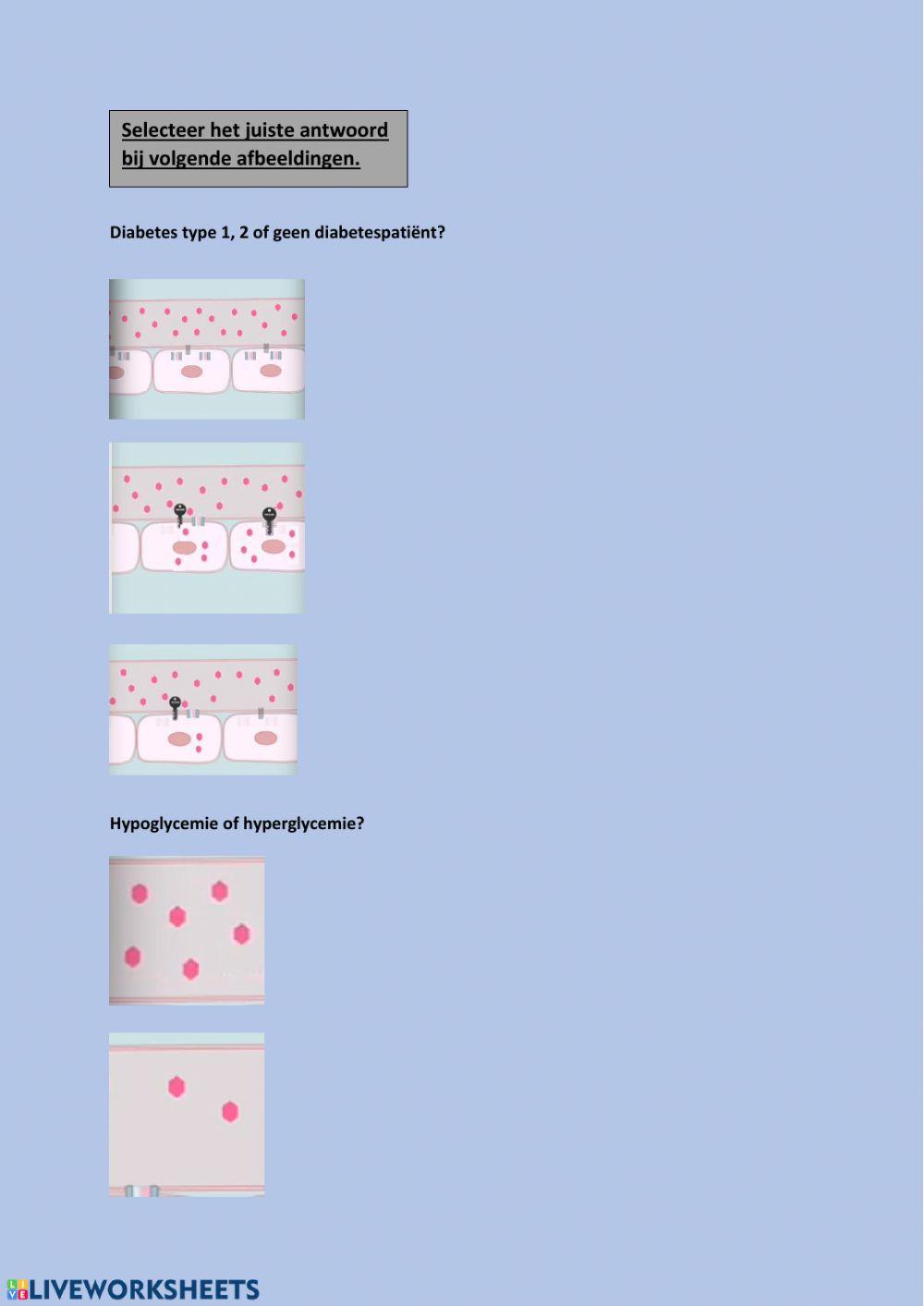 Voeding bij diabetes