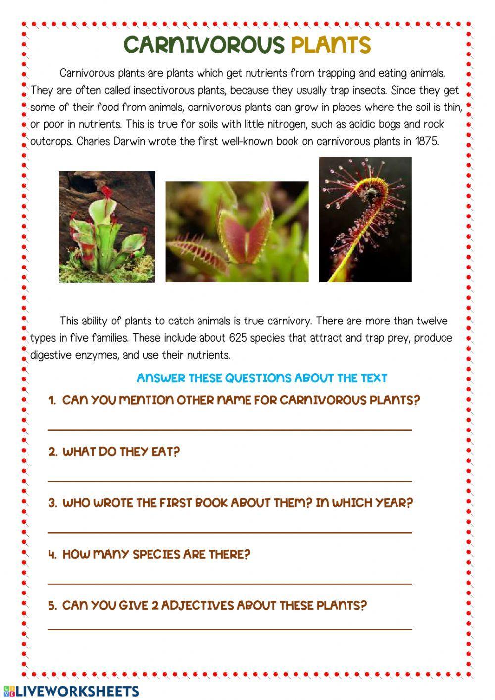 76076 Carnivorous Plants Tcher LiveWorksheets 76076-carnivorous-plants-tcher-liveworksheets
