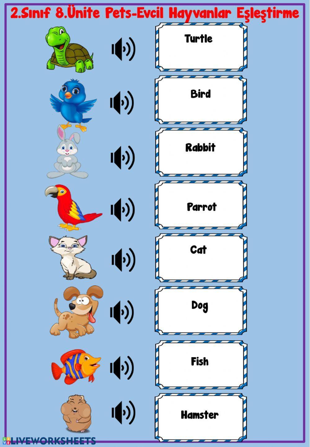 Pets Listen and Write 2