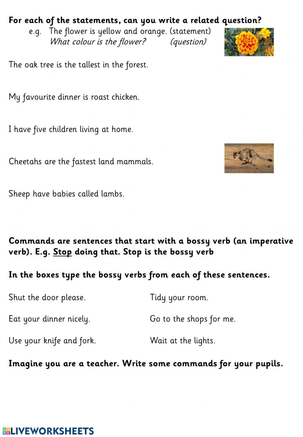 Sentence types worksheet | Live Worksheets