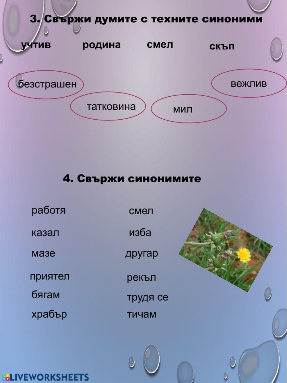 Синоними - употреба - 3 клас