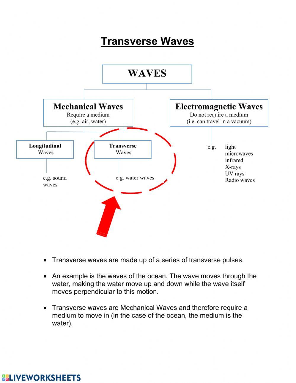 Waves 2: Transverse Waves