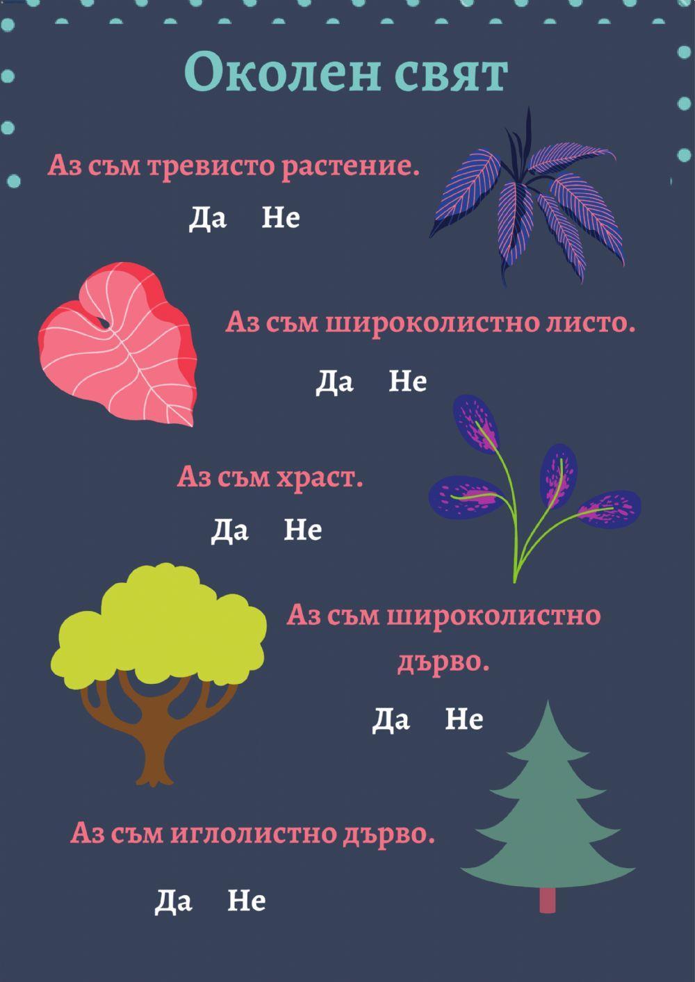 Какво растение съм?