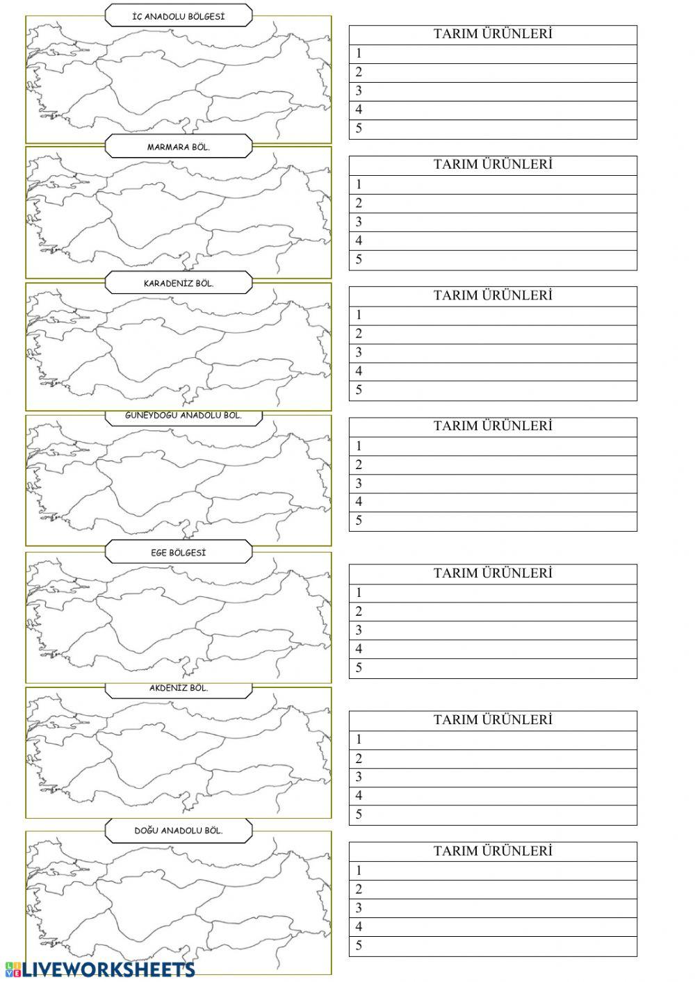 6.sınıf Bölgelere göre tarım ürünleri