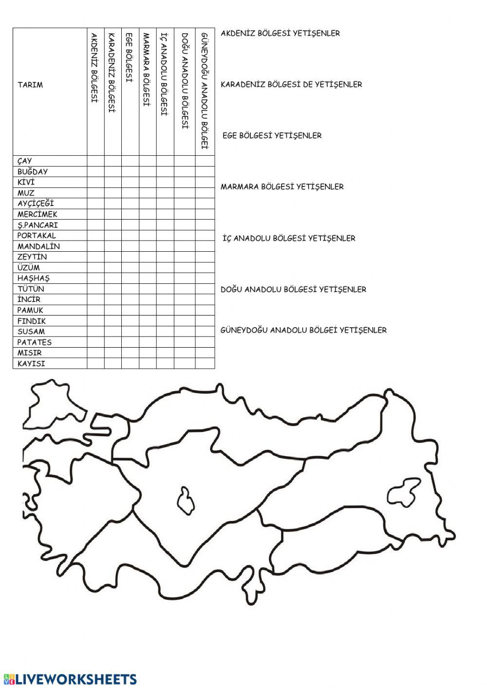6.sınıf Bölgelere göre tarım ürünleri