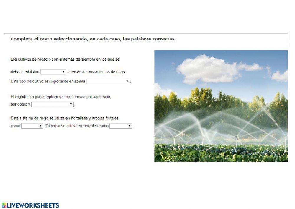 Agricultura tipos de cultivo