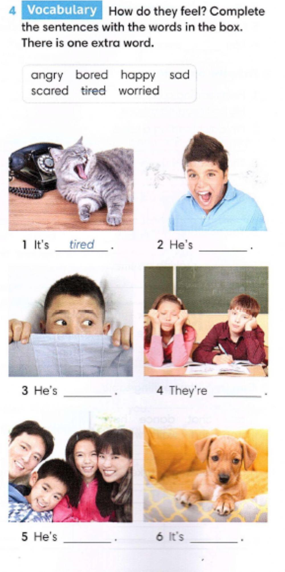 Go getter 2 unit 3.3 emotions