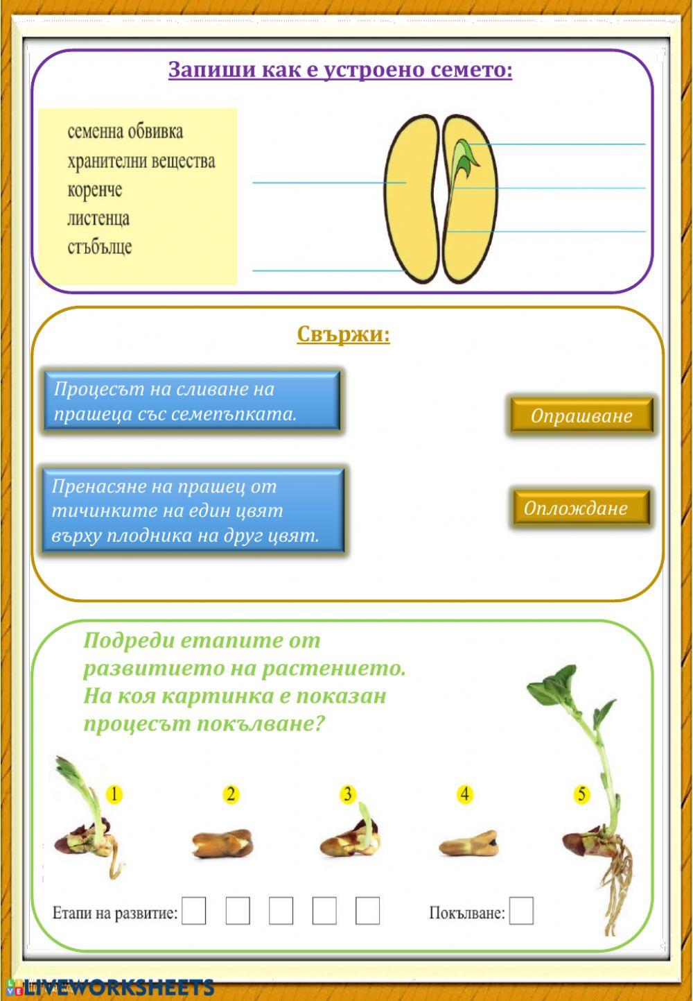 Жизнени процеси