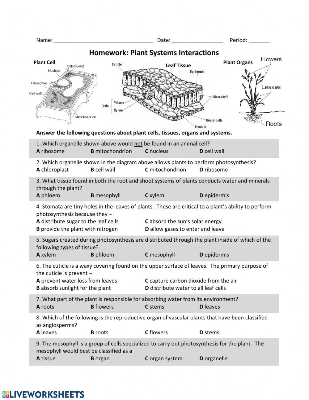 Plant Systems Interactions