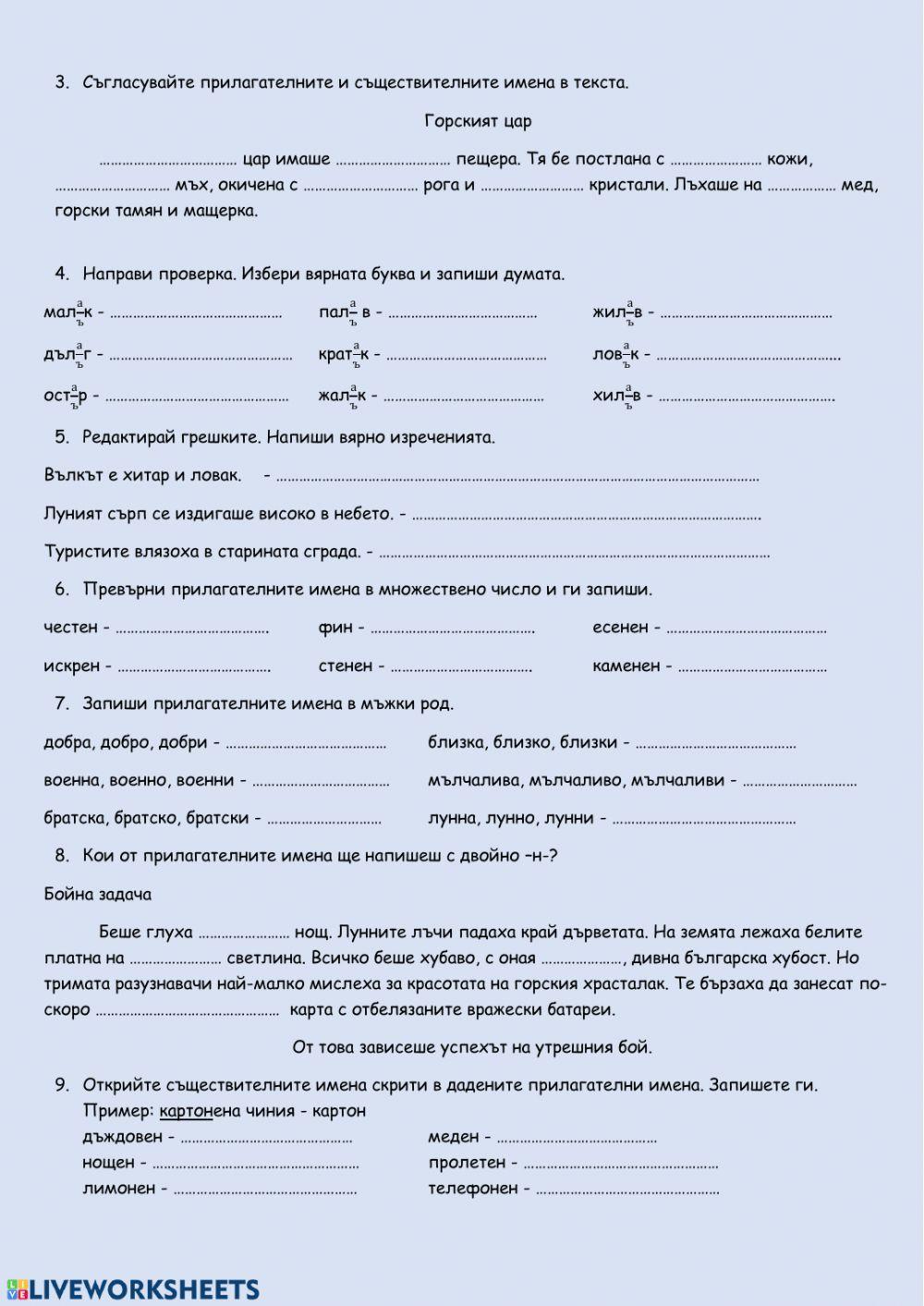 Прилагателно име. Правопис